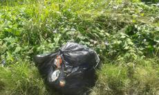 Picture of aulet