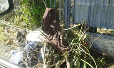 Picture of aulet