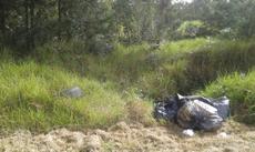 Picture of aulet