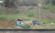 Picture of aulet