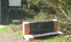 Picture of aulet