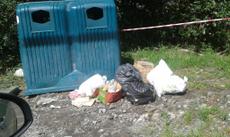 Picture of aulet