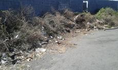 Picture of aulet