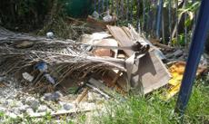 Picture of aulet