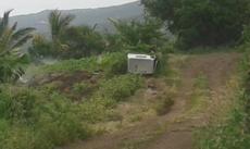 Picture of aulet