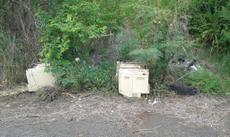 Picture of aulet