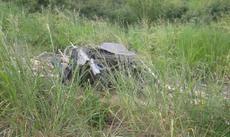 Picture of aulet