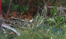 Picture of aulet