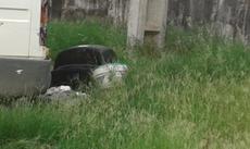 Picture of aulet