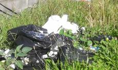Picture of aulet