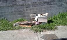 Picture of aulet