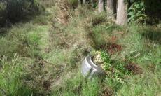 Picture of aulet