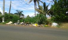 Picture of aulet