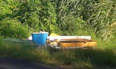 Picture of aulet