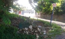 Picture of aulet