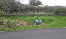 Picture of aulet