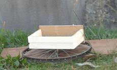 Picture of aulet
