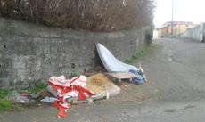 Picture of aulet