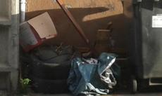 Picture of aulet