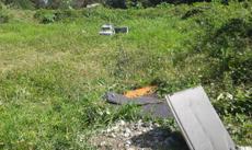 Picture of aulet
