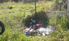 Picture of aulet