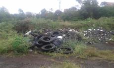 Picture of aulet