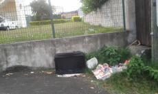 Picture of aulet