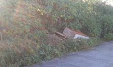 Picture of aulet
