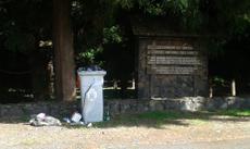 Picture of aulet