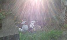 Picture of aulet