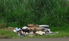 Picture of aulet