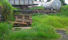 Picture of aulet