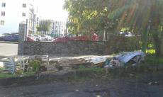 Picture of aulet