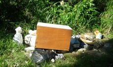 Picture of aulet