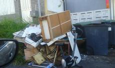 Picture of aulet