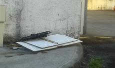 Picture of aulet