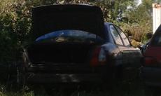 Picture of aulet