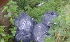 Picture of aulet