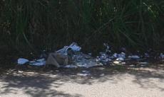 Picture of aulet