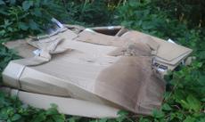 Picture of aulet
