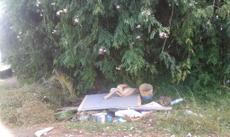 Picture of aulet