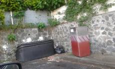 Picture of aulet