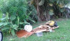 Picture of aulet