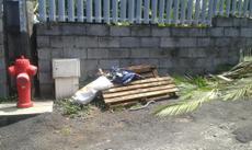 Picture of aulet
