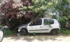 Picture of aulet