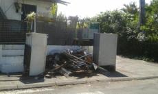 Picture of aulet
