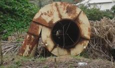 Picture of aulet