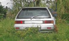 Picture of aulet