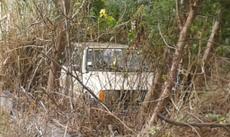 Picture of aulet