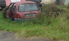Picture of aulet